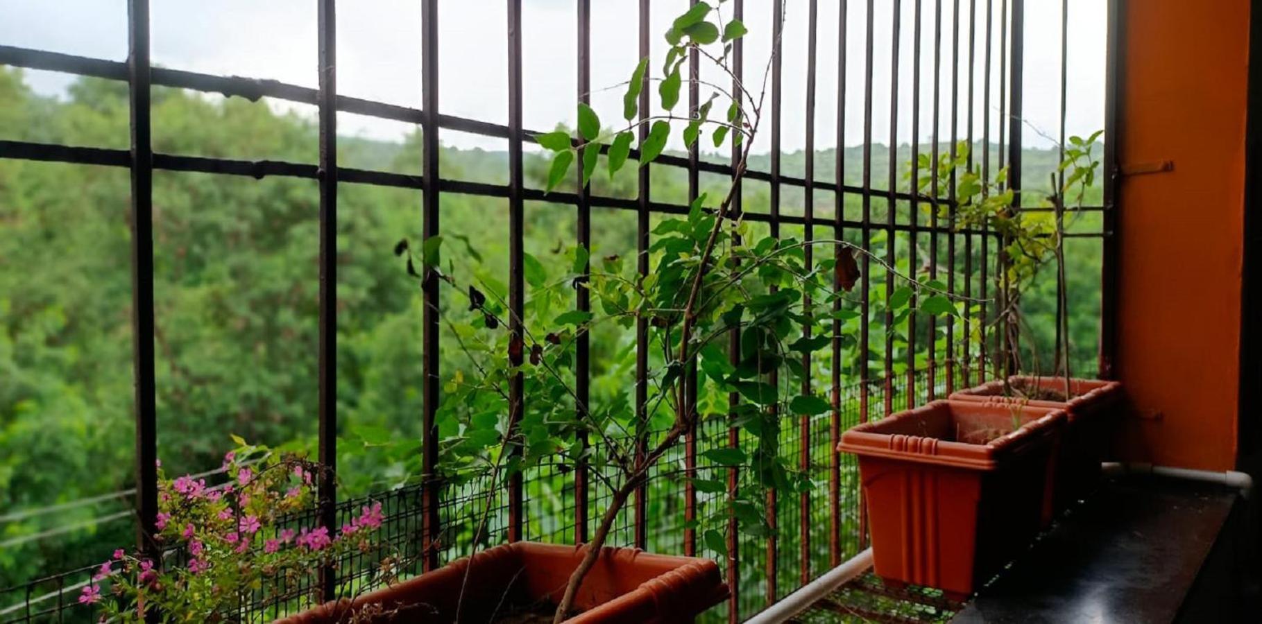 Abhayanand Agro Tourism Villa Ellora Ngoại thất bức ảnh